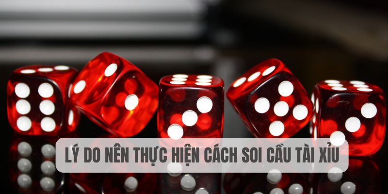 Tại sao nên chọn thực hiện cách soi cầu tài xỉu